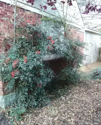 Wilson Services - Tree & Shrub Care in Bartlett, IL