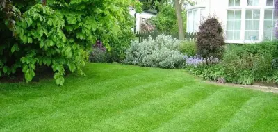 Mr. Lawn - Lawn Care And Landscaping - Tree & Shrub Care in Joplin, MO