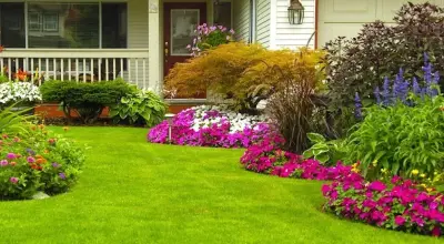 Mr. Lawn - Lawn Care And Landscaping - Tree & Shrub Care in Joplin, MO