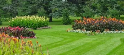 Mr. Lawn - Lawn Care And Landscaping - Tree & Shrub Care in Joplin, MO