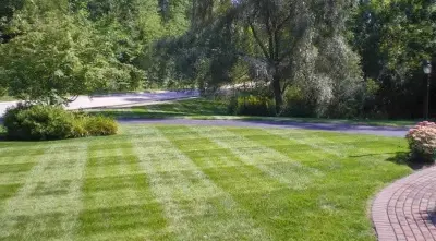 Exhibition — Landscape Construction project by Mr. Lawn - Lawn Care And Landscaping