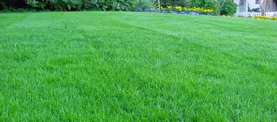 Mr. Lawn - Lawn Care And Landscaping - Tree & Shrub Care in Joplin, MO