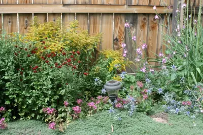 Landscape Design and Planting — Landscape Construction project by R&D Lawn Care And Landscaping