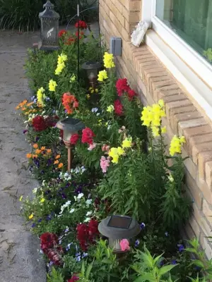 El Jardin Fine Gardens and Landscapes - Design-Build Services in Midland, TX