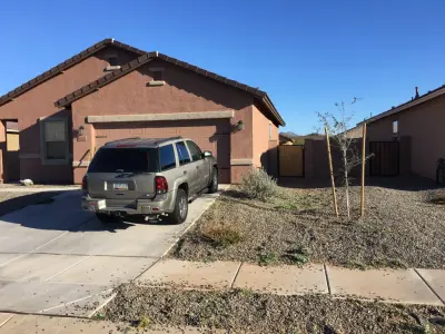Desert Aesthetics Landscape - Tree & Shrub Care in Tucson, AZ
