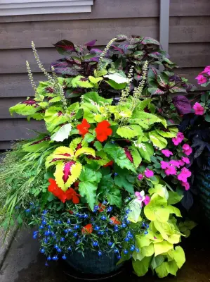 The GrassRoots Landscape Company - Tree & Shrub Care in Eugene, OR
