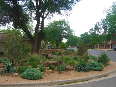 Paradise Lawns - Tree & Shrub Care in Lubbock, TX