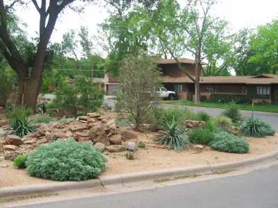 Paradise Lawns - Tree & Shrub Care in Lubbock, TX