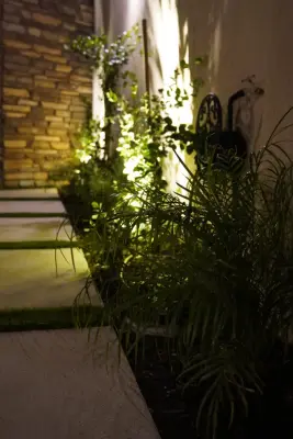 HG Landscape - Tree & Shrub Care in Canyon Country, CA