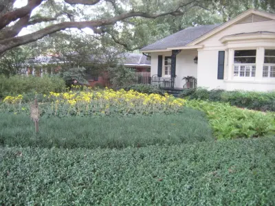 Louisiana Horticulture Services - Deck Building & Repair in Alexandria, LA