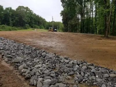 McConnell Curb Appeal - Tree & Shrub Care in Hernando, MS