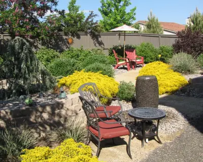Green Lizard Landscape LLC - Tree & Shrub Care in Carson City, NV