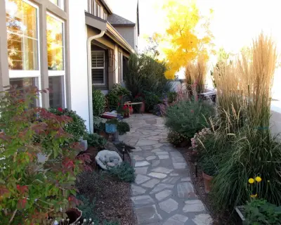 Green Lizard Landscape LLC - Tree & Shrub Care in Carson City, NV