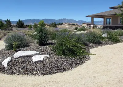 Green Lizard Landscape LLC - Tree & Shrub Care in Carson City, NV