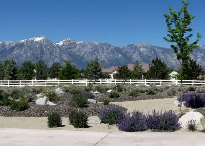 Green Lizard Landscape LLC - Tree & Shrub Care in Carson City, NV