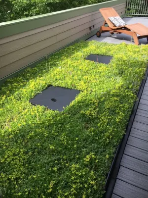 TerraGreen - Landscape Construction in Pittsburgh, PA