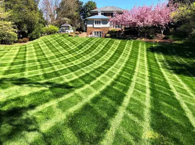 Mr. Green Thumbs - Tree & Shrub Care in La Follette, TN