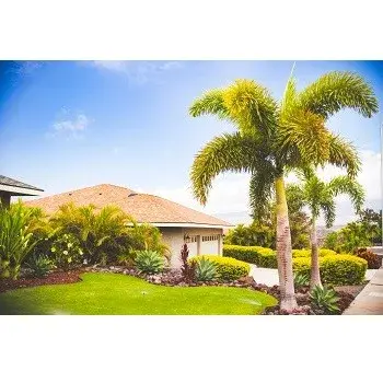 Hawaii Landscaping - Landscape Construction in Kailuakona, HI