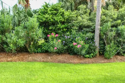 GreenEarth Landscape Services - Commercial Construction Services in Panama City Beach, FL