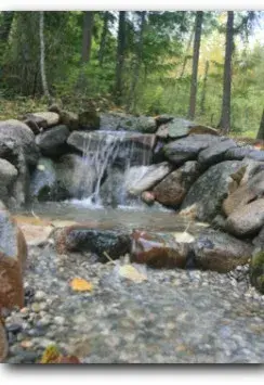 Homestead Landscapes - Tree & Shrub Care in Naples, ID