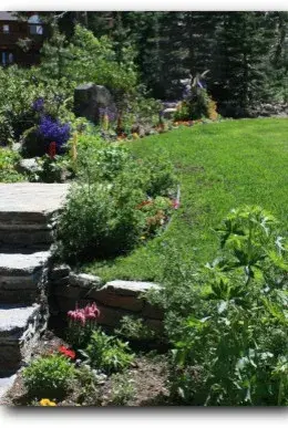 Homestead Landscapes - Tree & Shrub Care in Naples, ID