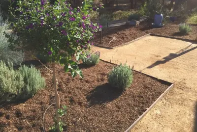 Frederic's Landscape & Tree Service - Tree & Shrub Care in Corning, CA