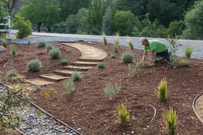 Frederic's Landscape & Tree Service - Tree & Shrub Care in Corning, CA