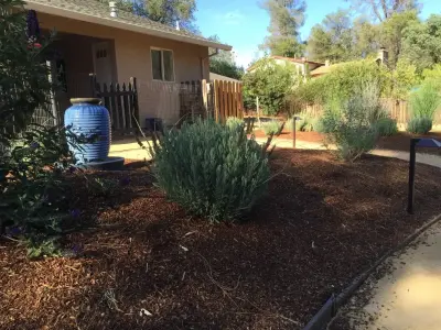 Frederic's Landscape & Tree Service - Tree & Shrub Care in Corning, CA