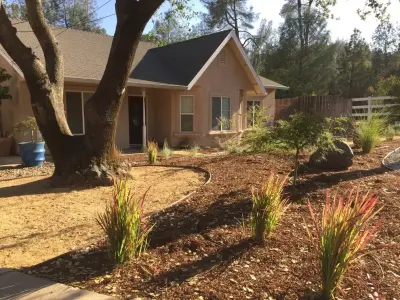Frederic's Landscape & Tree Service - Tree & Shrub Care in Corning, CA