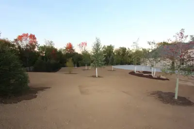 Fresh Turf — Landscape Construction project by Naturescape Inc.