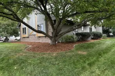 Decker Landscape & Design - Tree Planting & Transplanting in Little Chute, WI