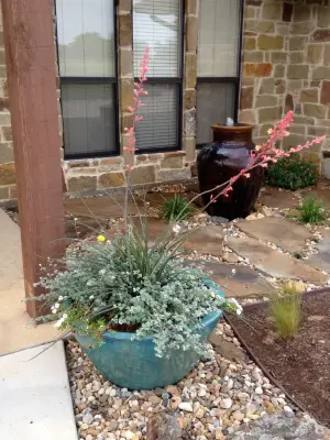 East Texas Proscapes, LLC - Tree & Shrub Care in Pittsburg, TX