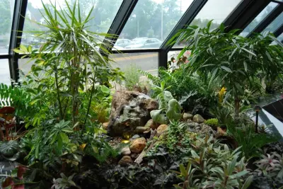 Interior Greenery — Landscape Construction project by Landscapes By Dallas Foster, Inc