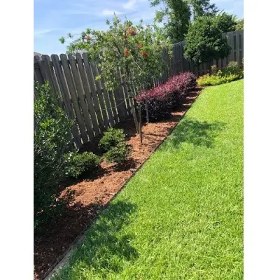JC Landscaping Professionals - Tree & Shrub Care in Pensacola, FL
