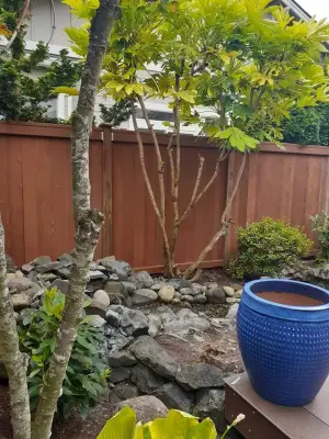 Jubilee Fence Installation and Removal — Landscape Construction project by All Seasons Landscaping Of Mason County LLC