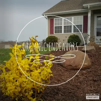 Organic Endeavors, LLC - Tree & Shrub Care in Owen, WI