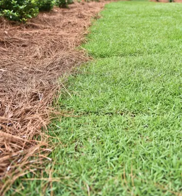 Kingswood Project — Landscape Construction project by Bay Landscaping, Inc.