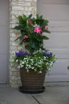 Blue Fox Landscape Design Inc - Design-Build Services in Gibsonia, PA