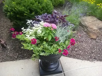 Blue Fox Landscape Design Inc - Design-Build Services in Gibsonia, PA