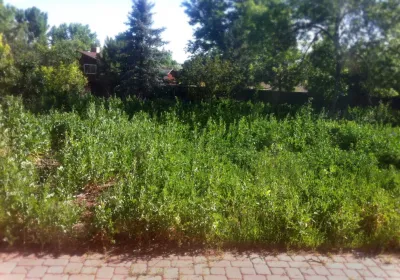 Green Valley Turf Co. - Landscape Construction in Littleton, CO