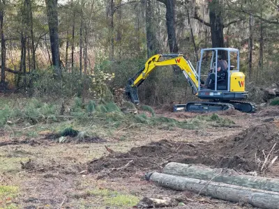 SV Land Clearing - Tree & Shrub Care in Jamestown, SC