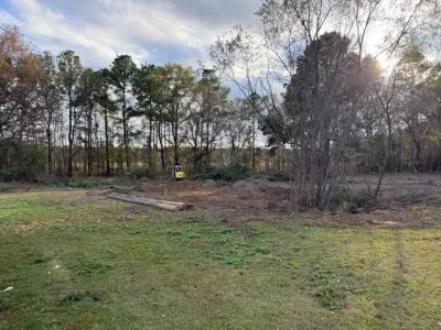 SV Land Clearing - Tree & Shrub Care in Jamestown, SC