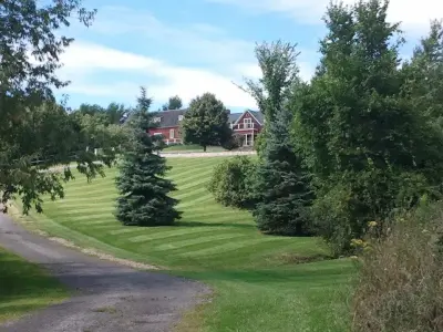 Central New York Landscaping - Tree Planting & Transplanting in Auburn, NY