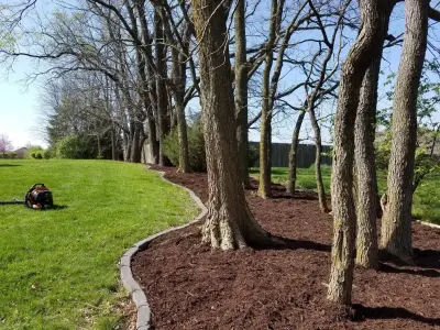 Scenic Photography — Landscape Construction project by Voss Landscape & Tree Service