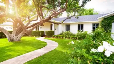 T&F Landscaping LLC - Tree & Shrub Care in Branson, MO