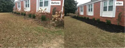 Blue Skies Landscaping - Tree & Shrub Care in Hubert, NC