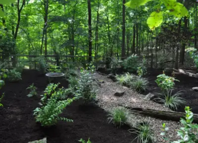 Poehlmann's Lawn & Landscape, LLC - Tree & Shrub Care in Columbia, MO