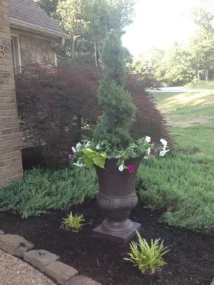 Hometown Lawns Landscape Management - Tree & Shrub Care in Jonesboro, AR