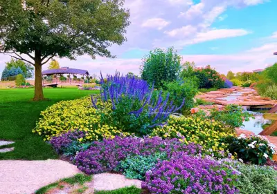 Landscaping Setup — Landscape Construction project by Mr. Green Thumbs
