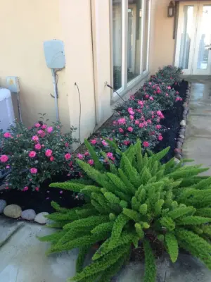 Lawson Landscaping, LLC - Tree & Shrub Care in Sulphur, LA